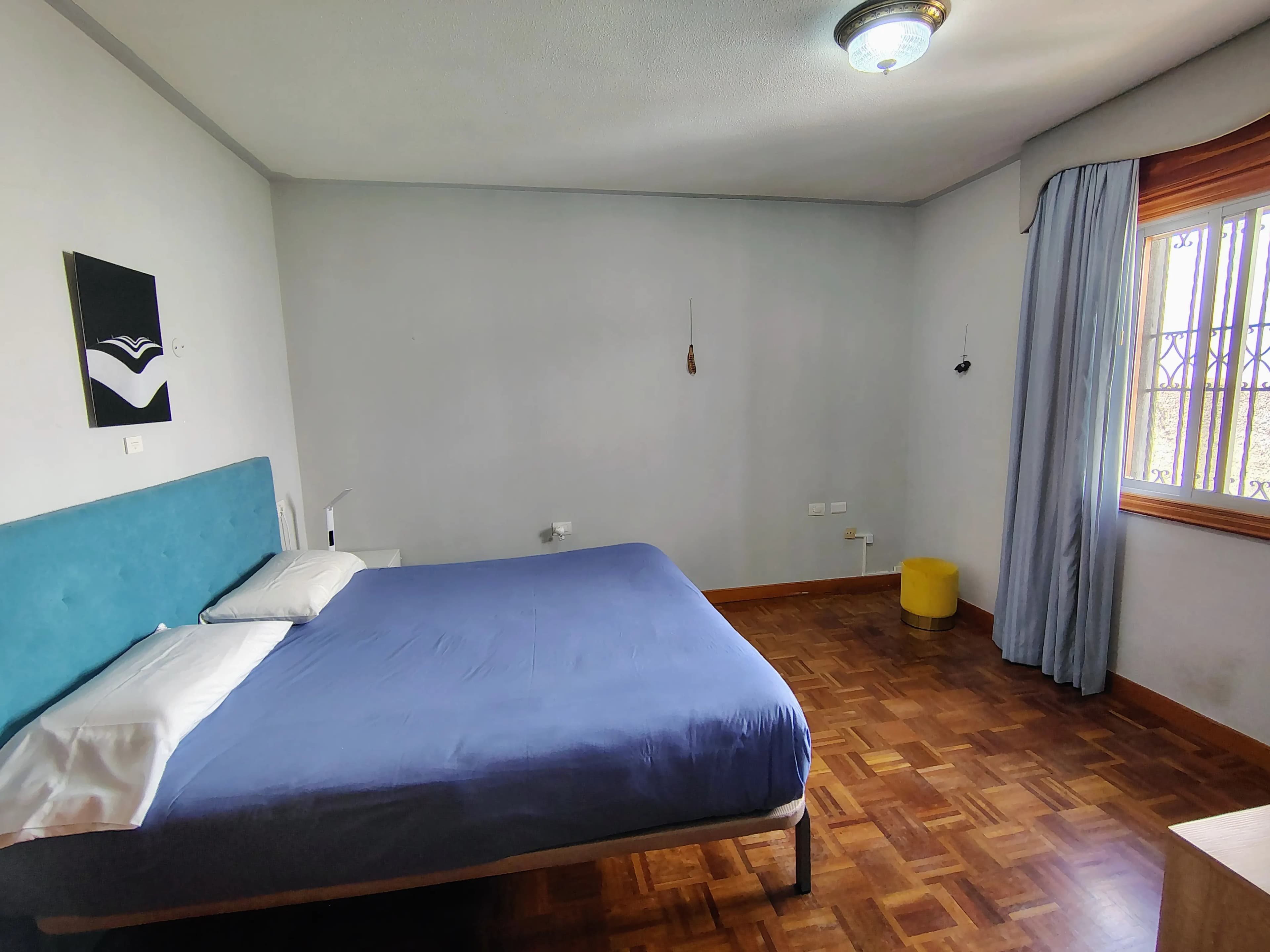 Papaya Room at Blue Paradise, private room photo 2.